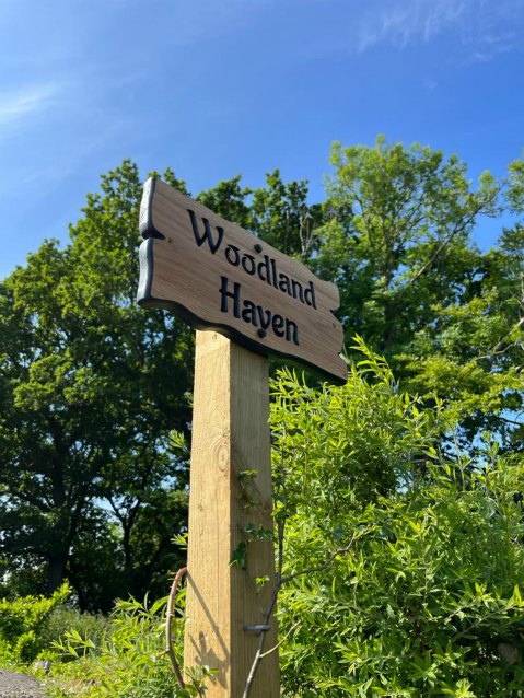 equestrian centre lanarkshire