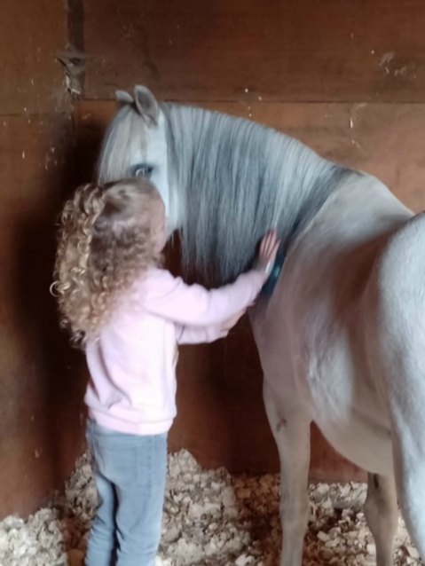equestrian centre lanarkshire