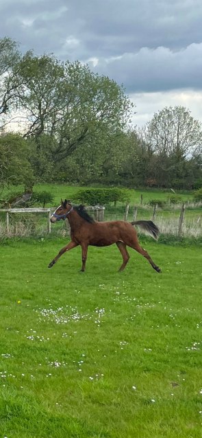 equestrian centre lanarkshire