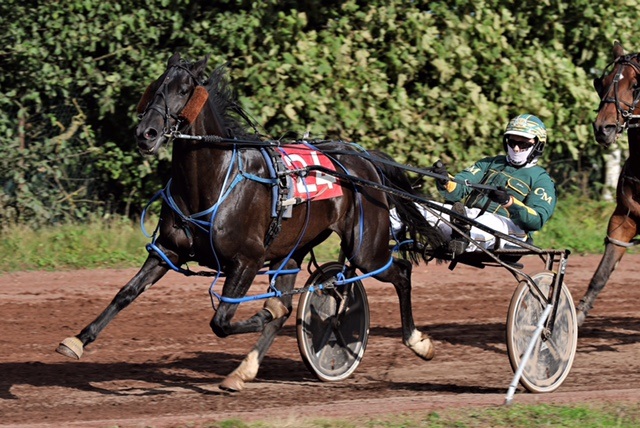 Avalon Equestrian Centre, Lanarkshire